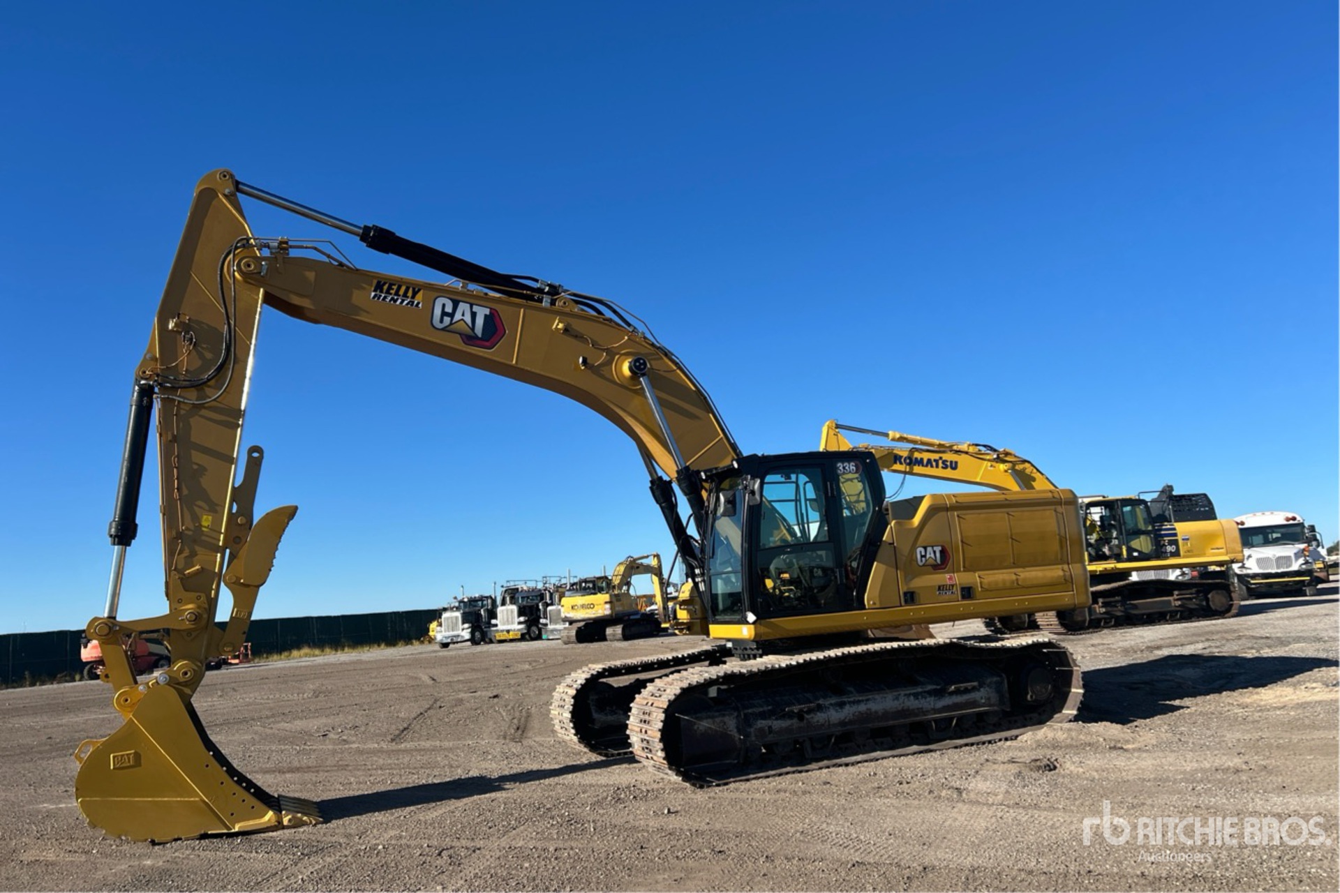 General Appearance with Spin