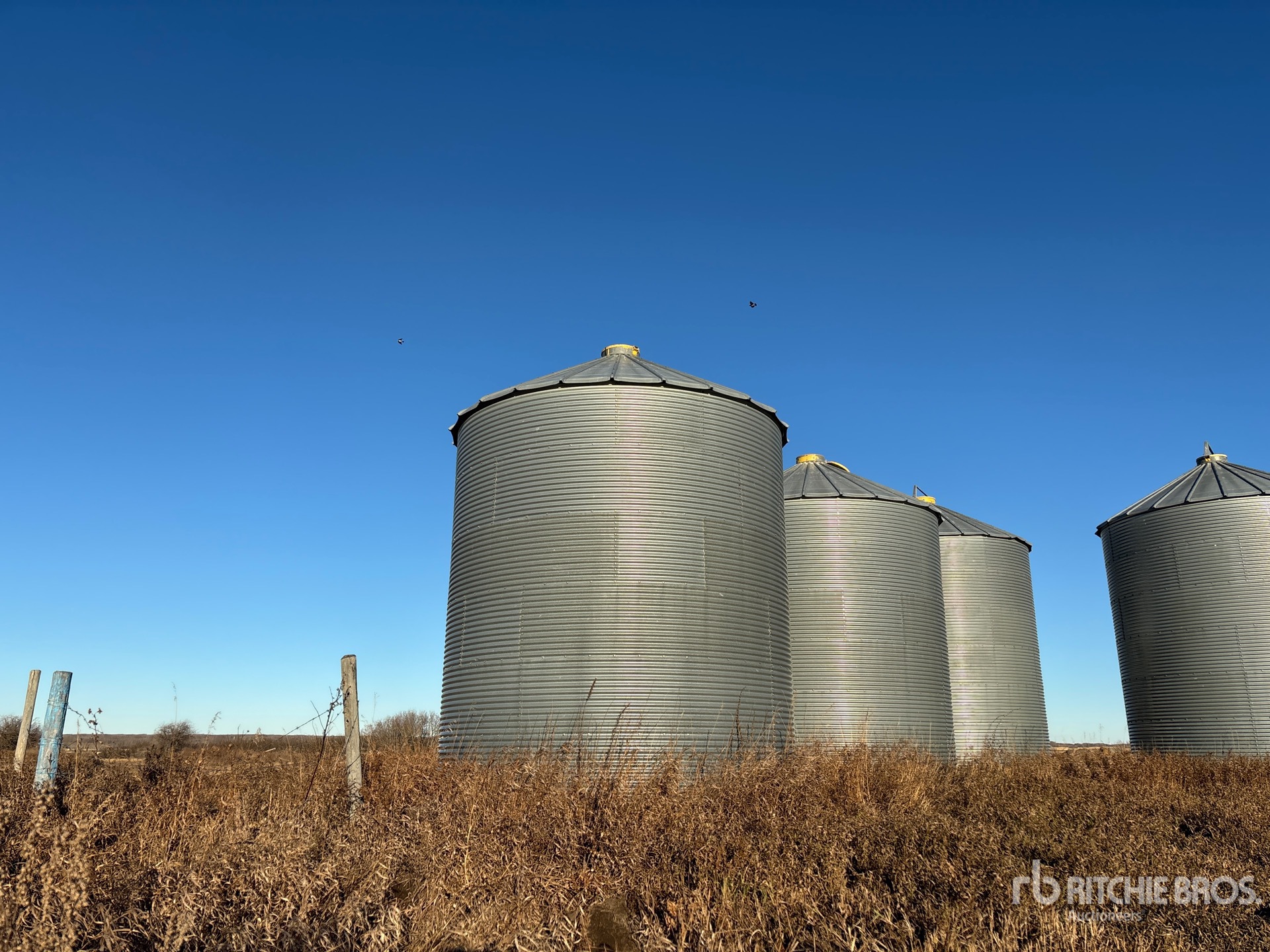 General Appearance with Foto, angolo posteriore sinistro