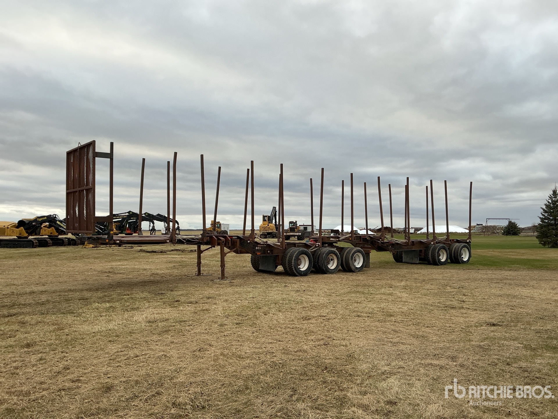 General Appearance with Zdjęcie, lewy górny róg