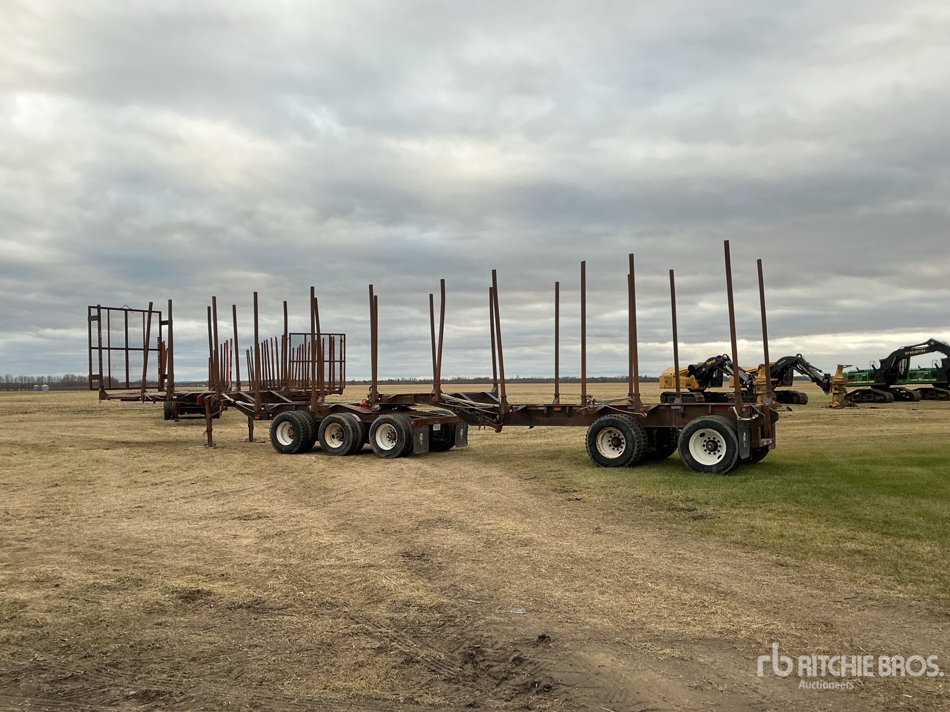 General Appearance with Zdjęcie, lewy dolny róg