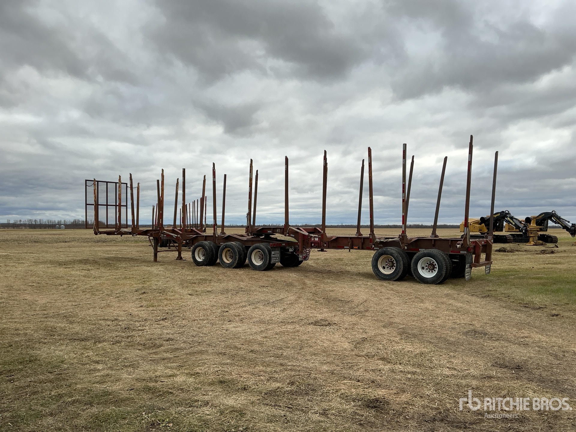 General Appearance with Zdjęcie, lewy dolny róg