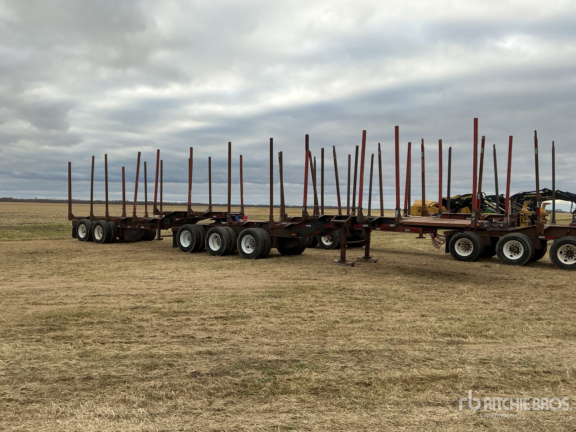 General Appearance with Zdjęcie, prawy górny róg