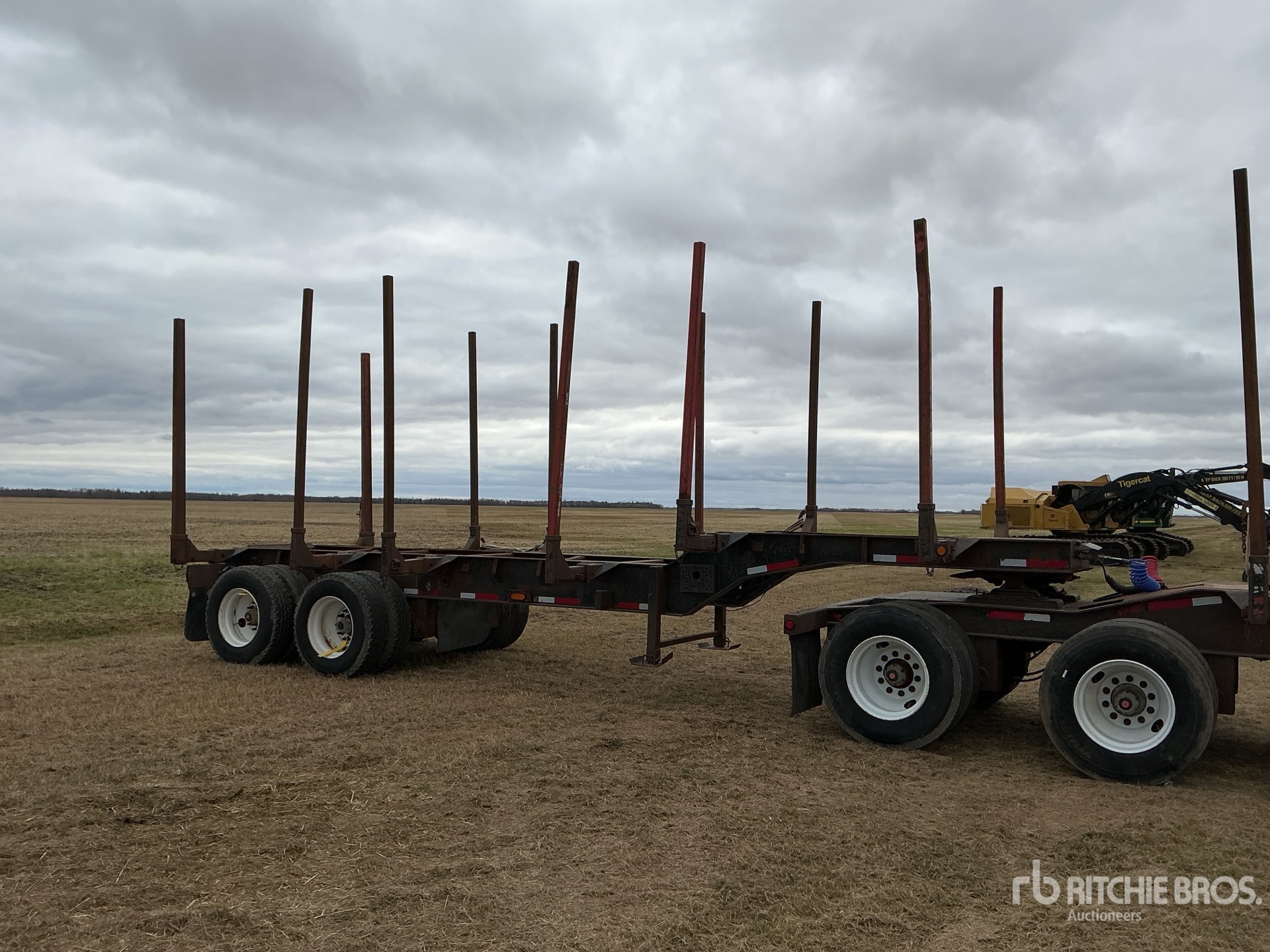 General Appearance with Zdjęcie, prawy górny róg