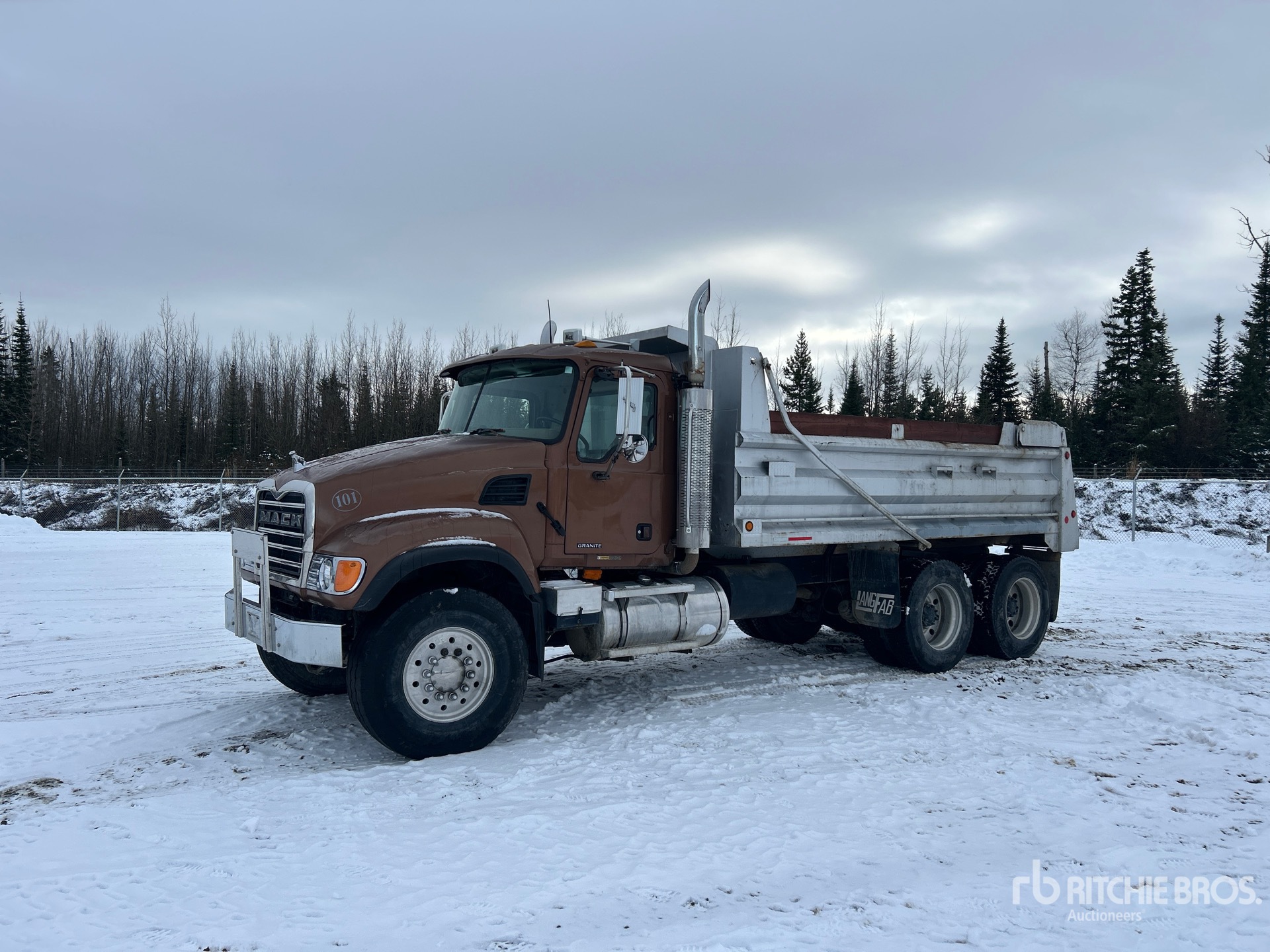 General Appearance with Spin