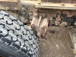 4 Underbody - Truck with 