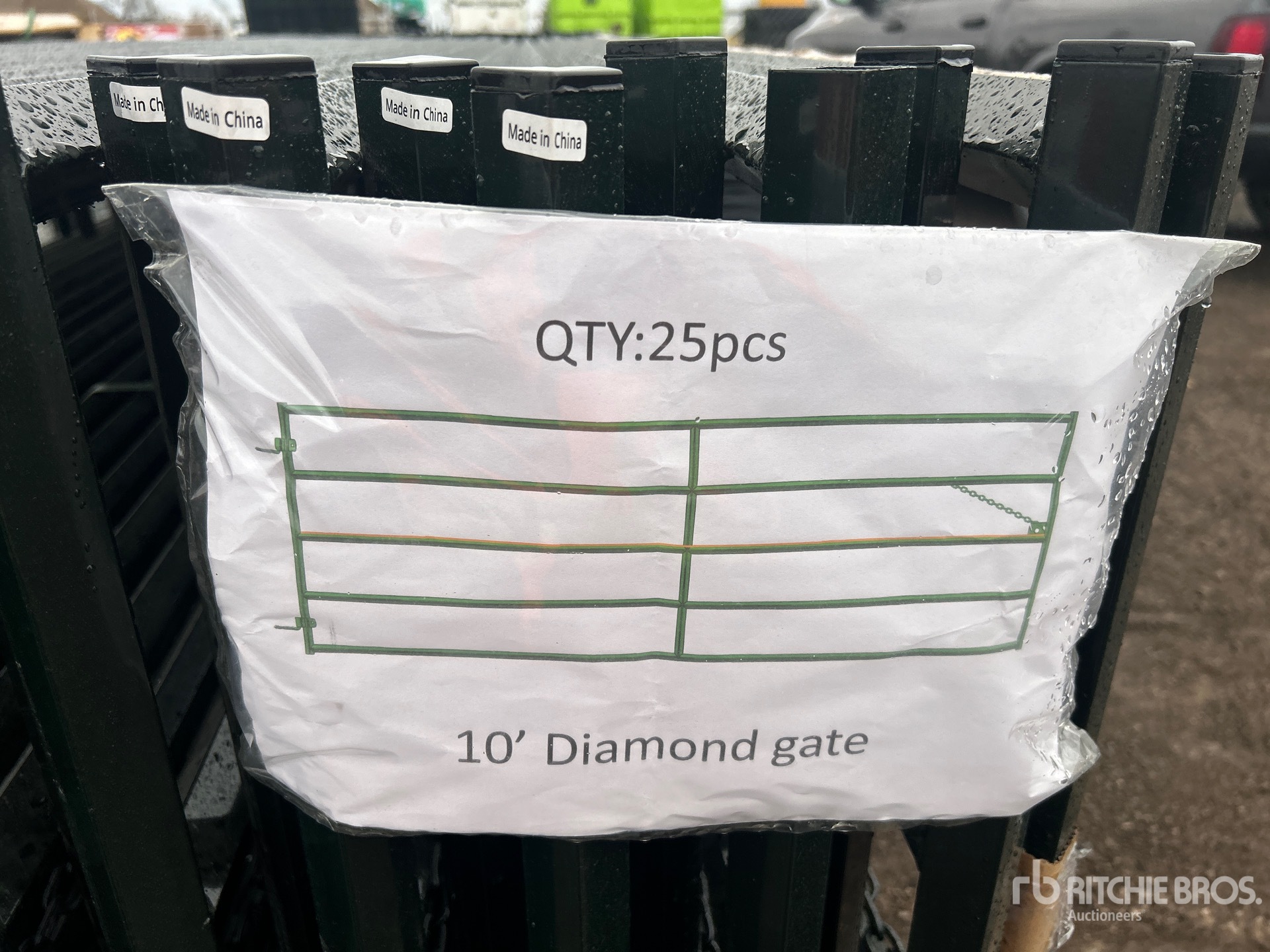 General Appearance with 