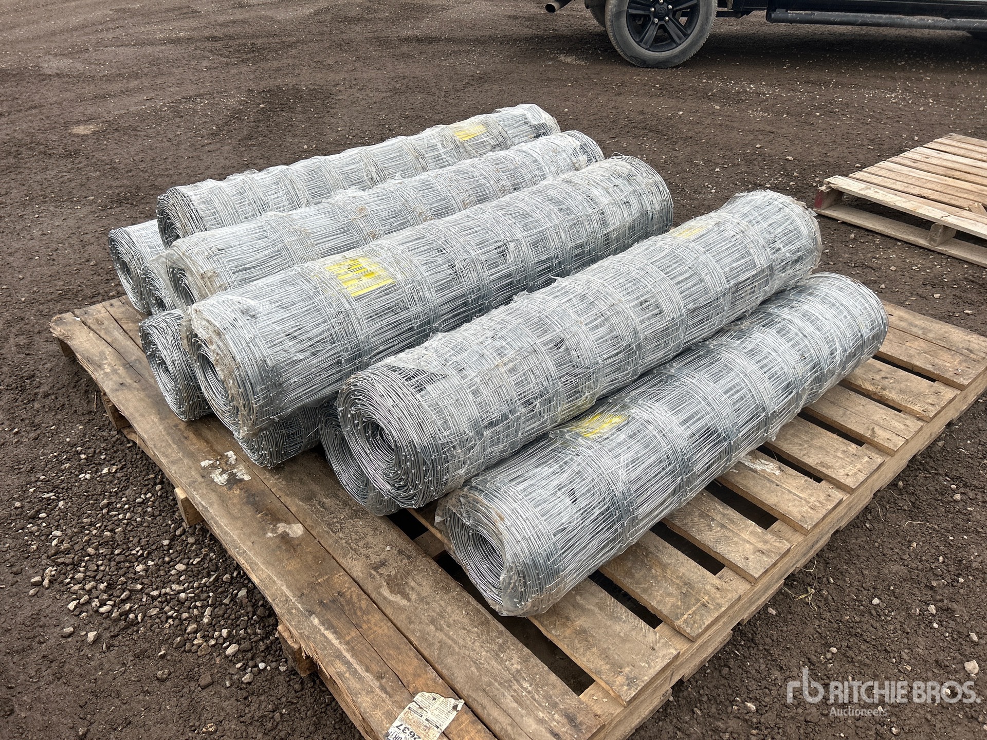 General Appearance with Foto, angolo anteriore sinistro