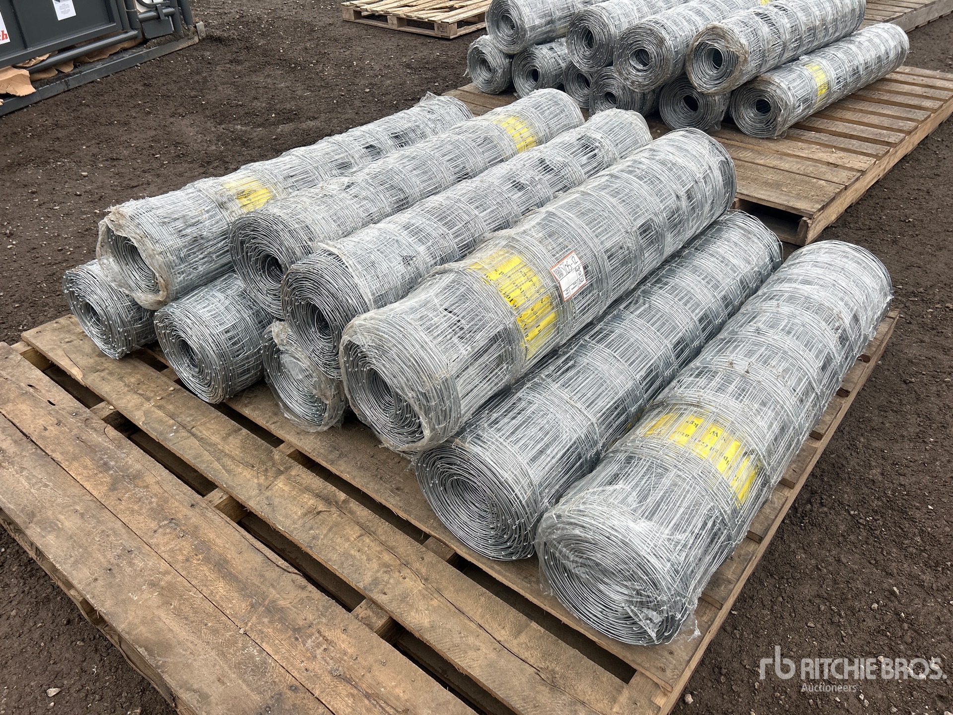 General Appearance with Foto, angolo anteriore sinistro