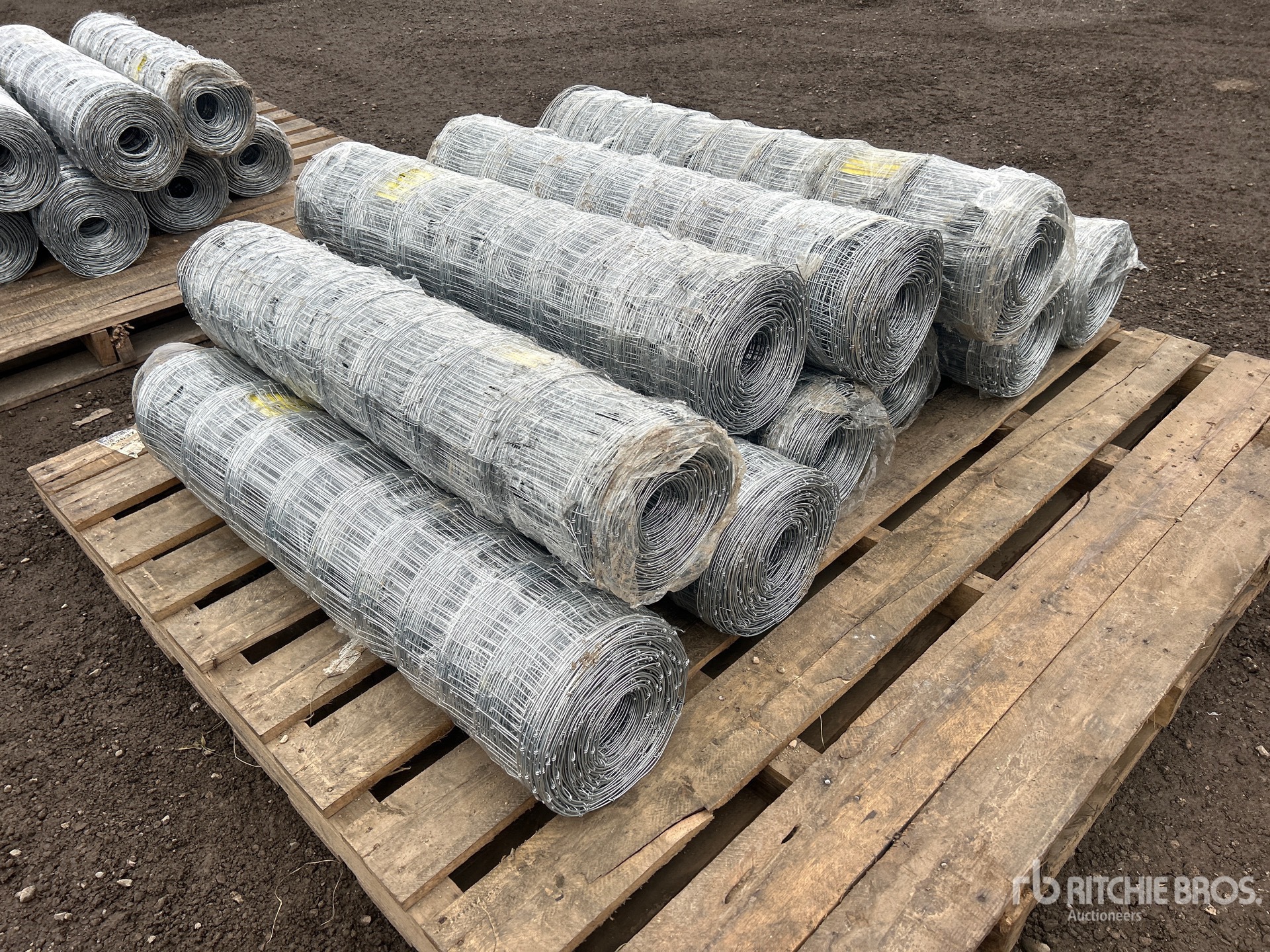 General Appearance with Foto, angolo anteriore destro