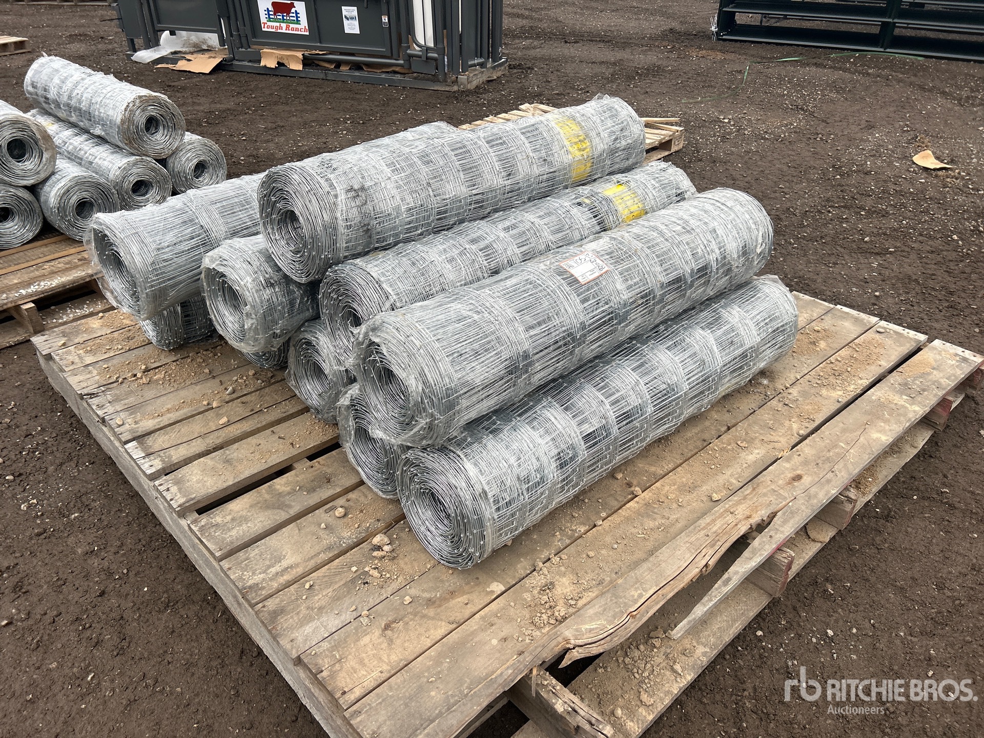 General Appearance with Foto, angolo posteriore sinistro