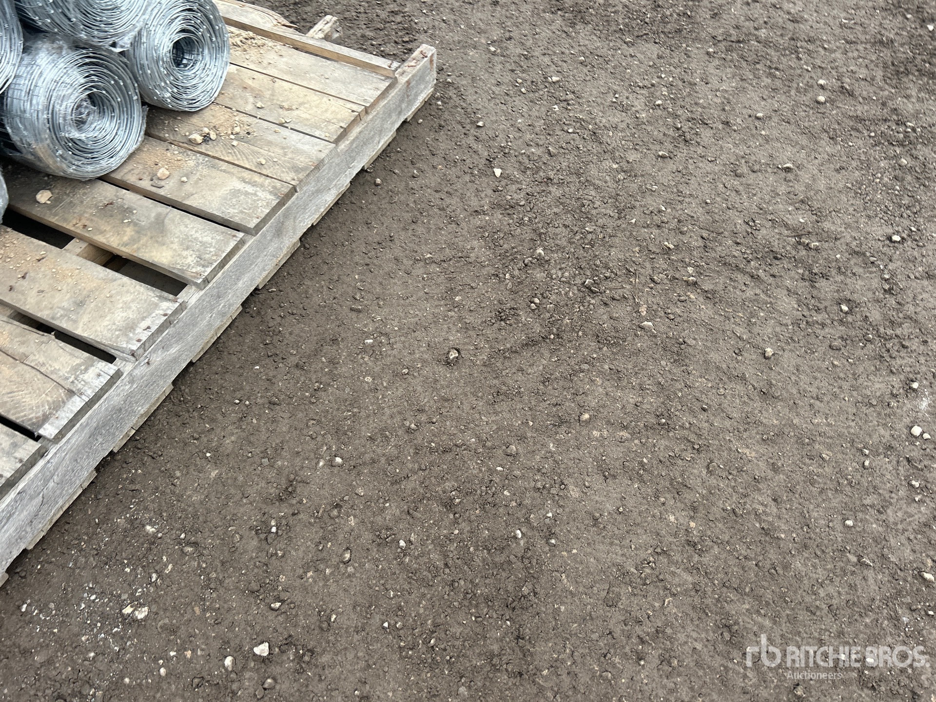 General Appearance with Foto, angolo anteriore sinistro