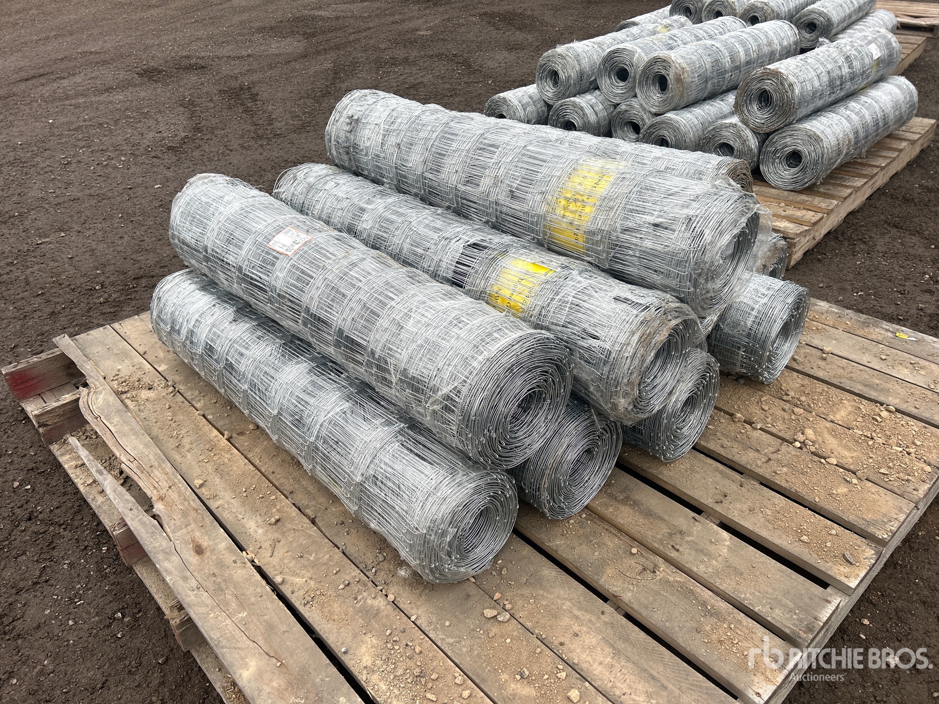 General Appearance with Foto, angolo anteriore sinistro