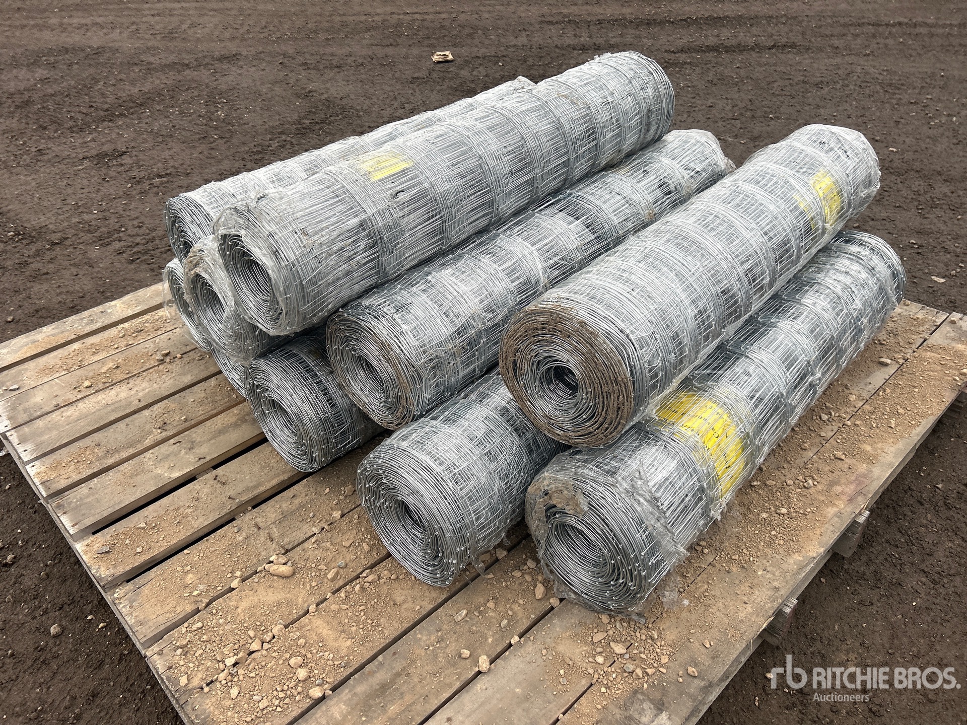 General Appearance with Foto, angolo anteriore destro