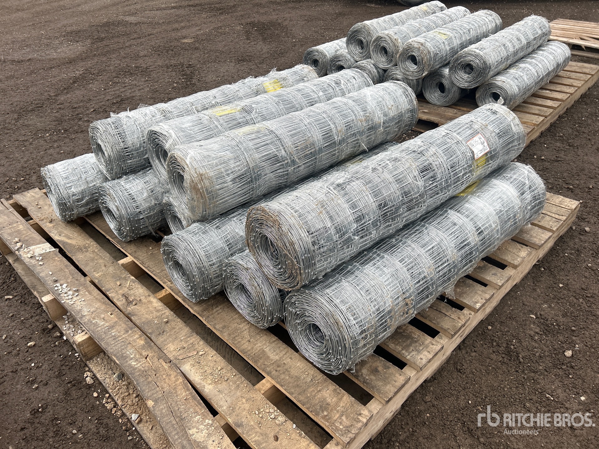 General Appearance with Foto, angolo anteriore sinistro