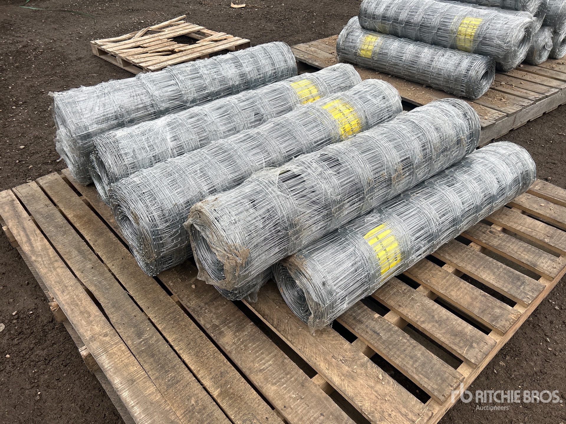 General Appearance with Foto, angolo anteriore sinistro