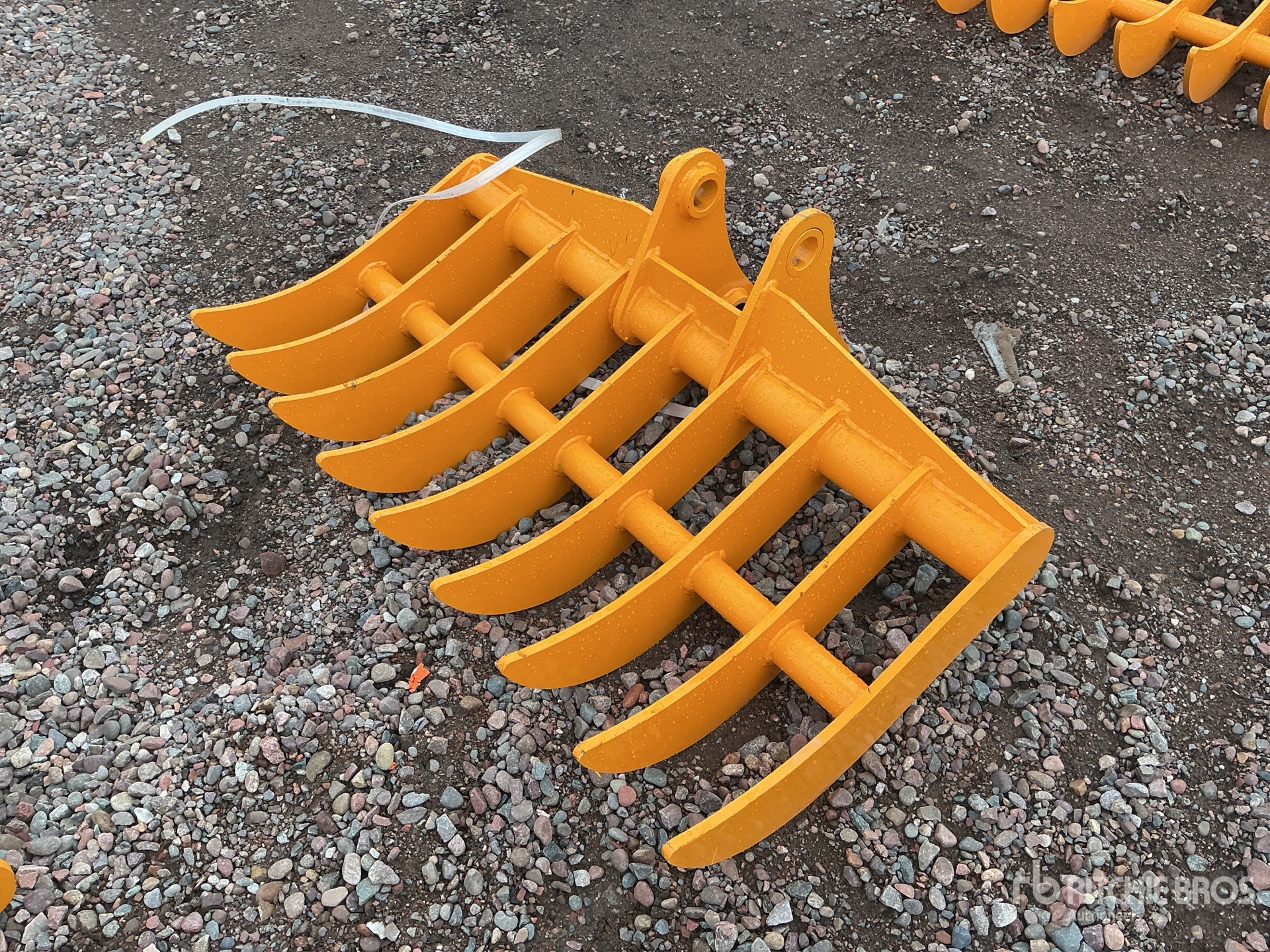 General Appearance with Zdjęcie, lewy górny róg