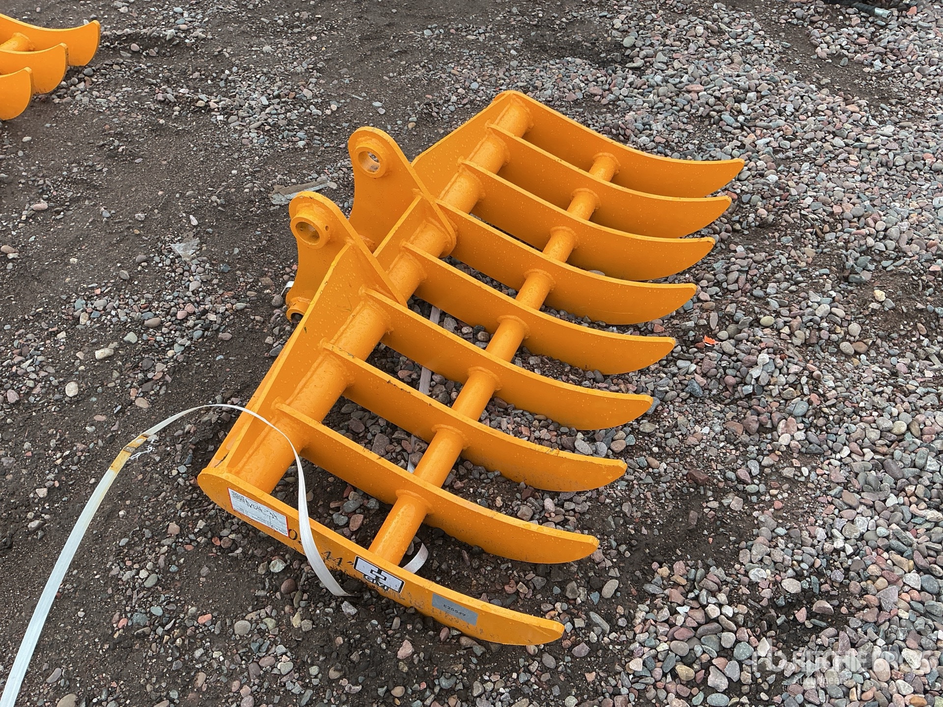 General Appearance with Zdjęcie, prawy górny róg