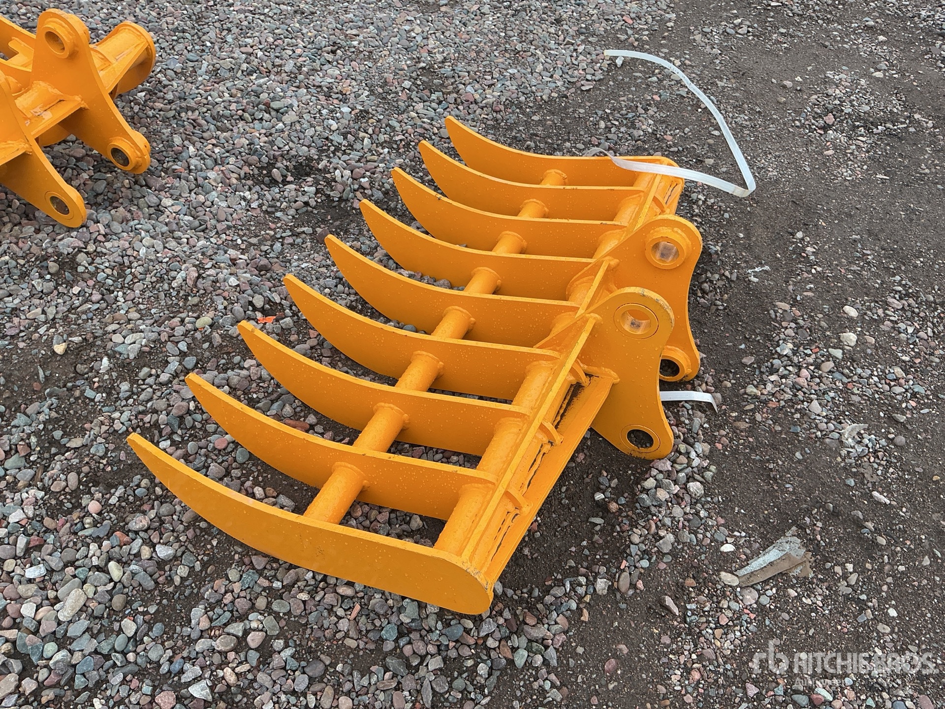 General Appearance with Zdjęcie, lewy dolny róg