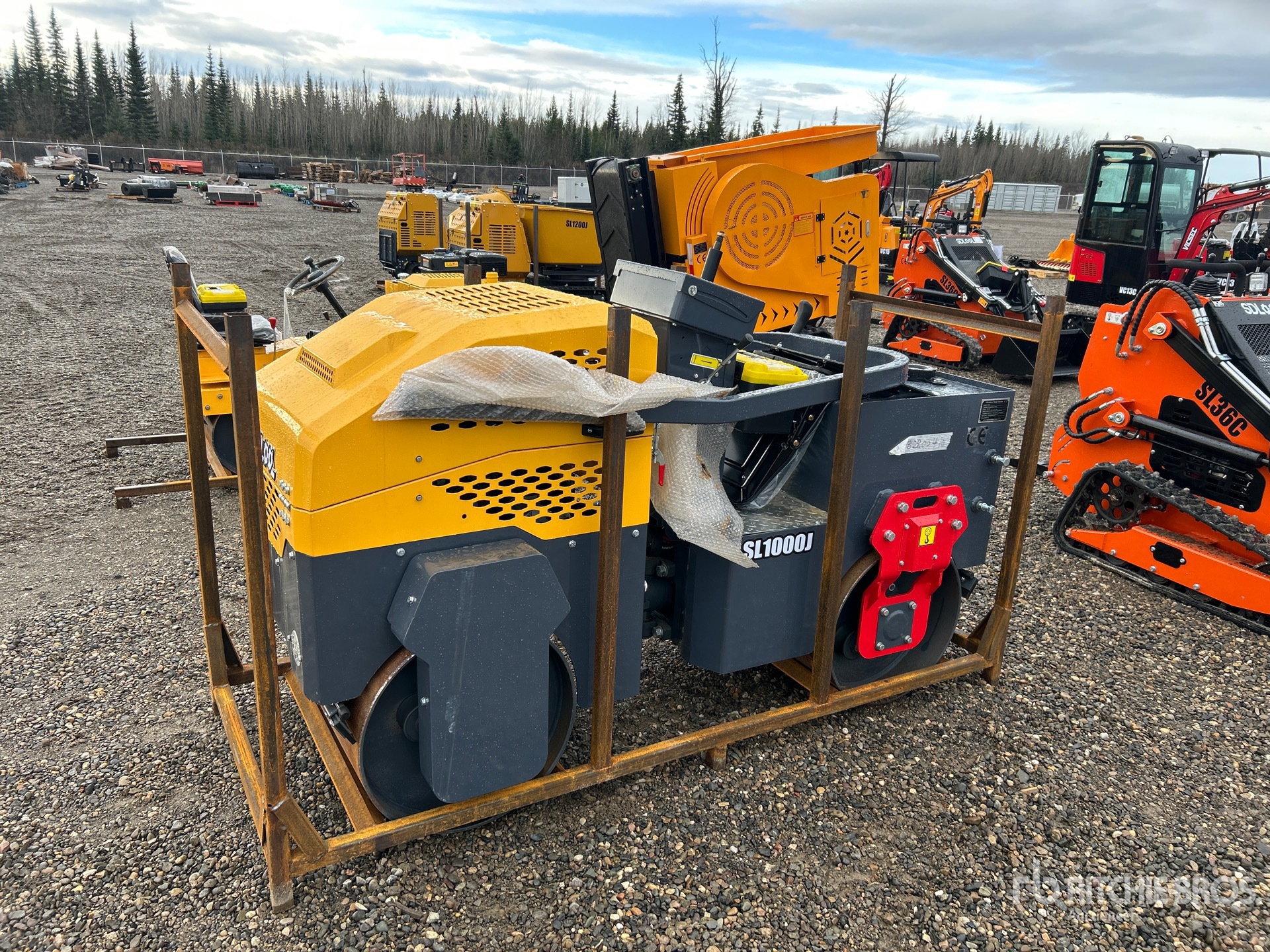 General Appearance with Picture, Left Front Corner