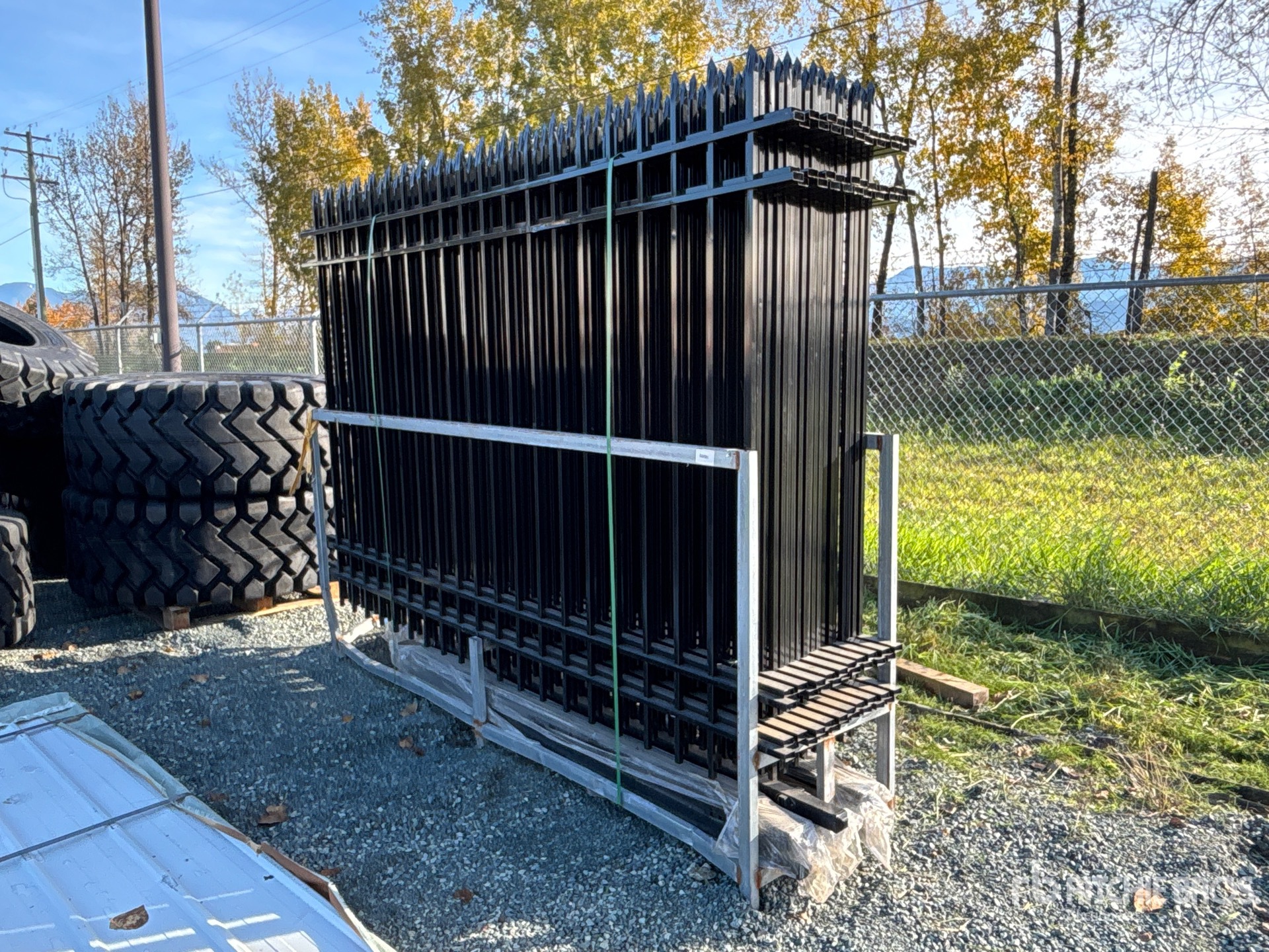 General Appearance with Zdjęcie, prawy dolny róg