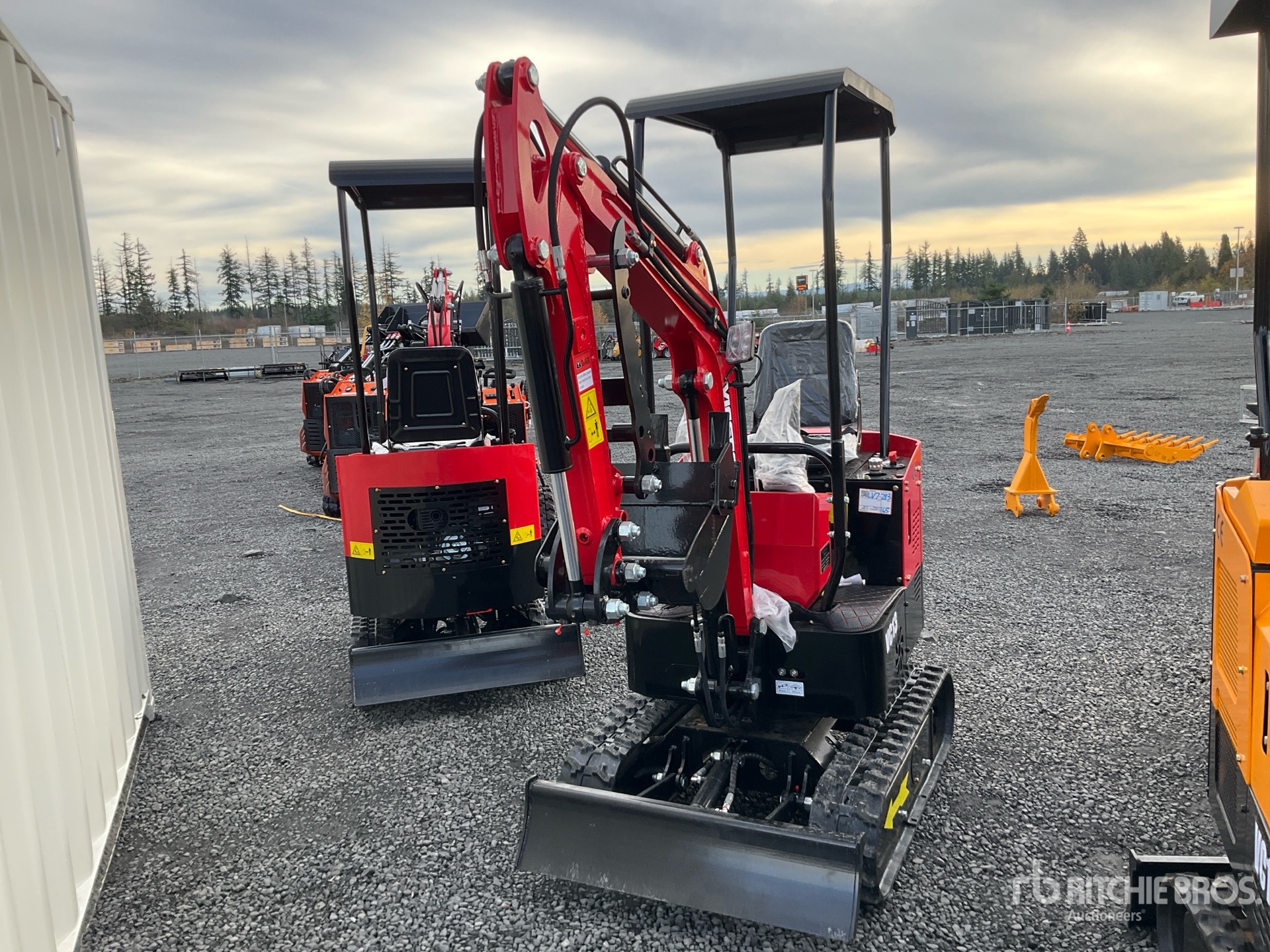 General Appearance with 