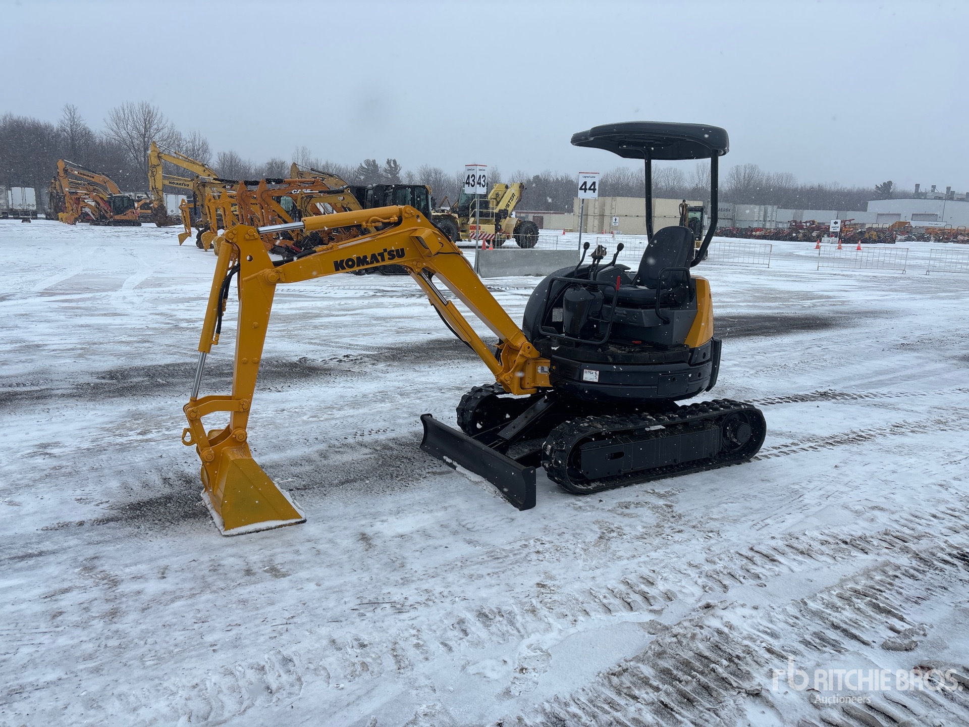 General Appearance with Spin