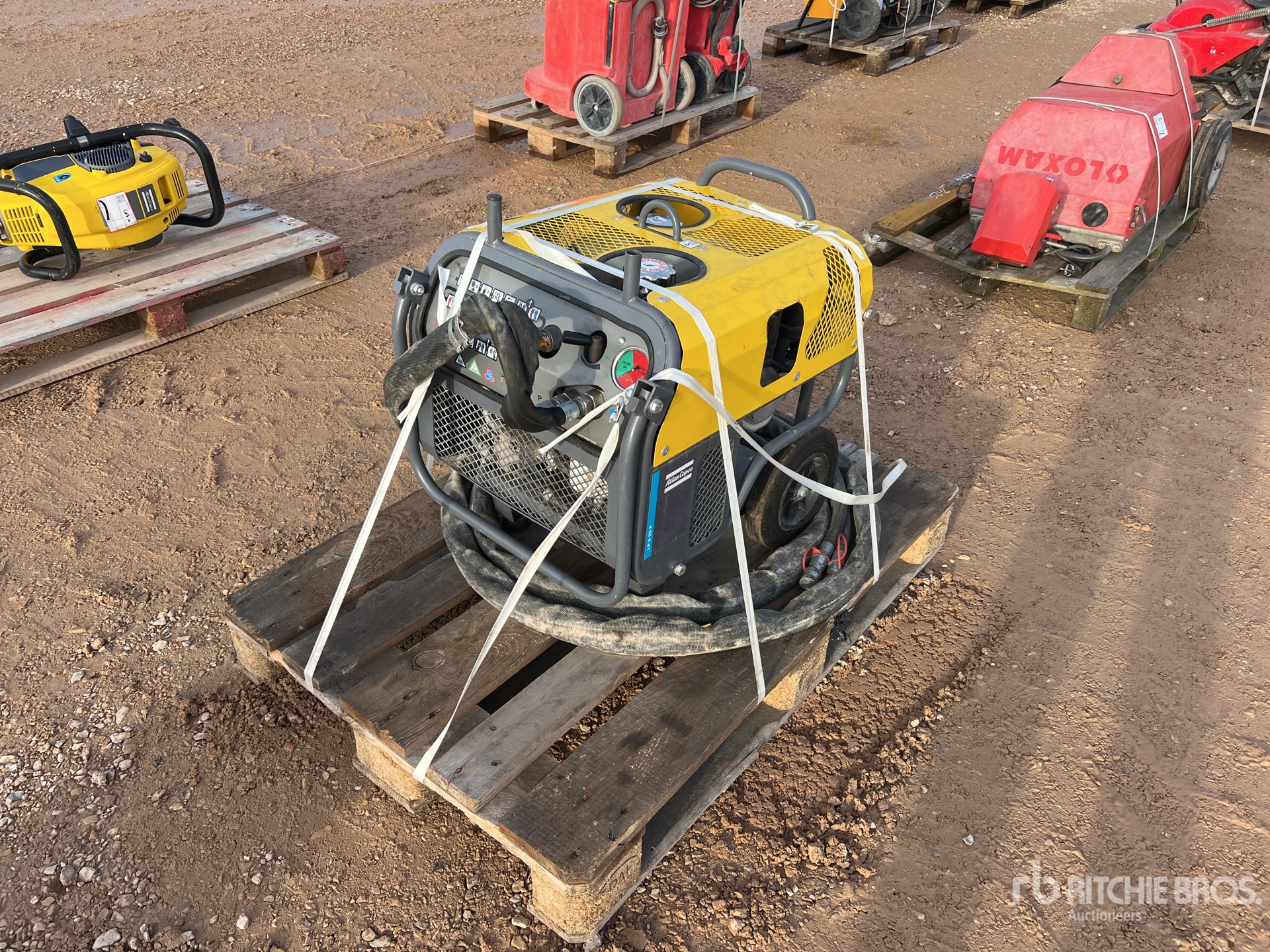 General Appearance with