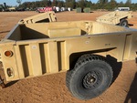 General Appearance with Paint