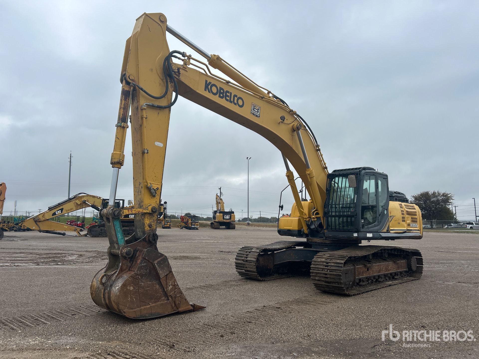 General Appearance with Spin