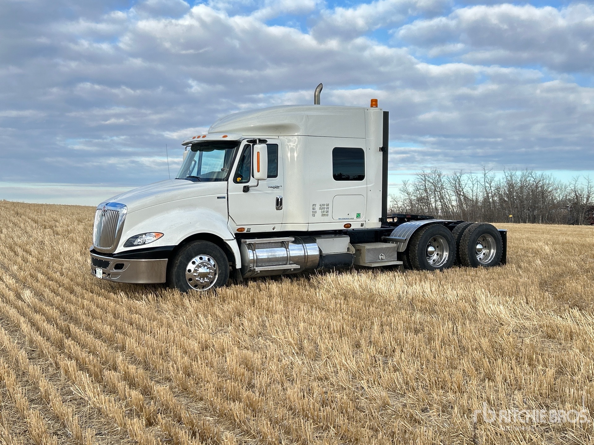 General Appearance with Spin