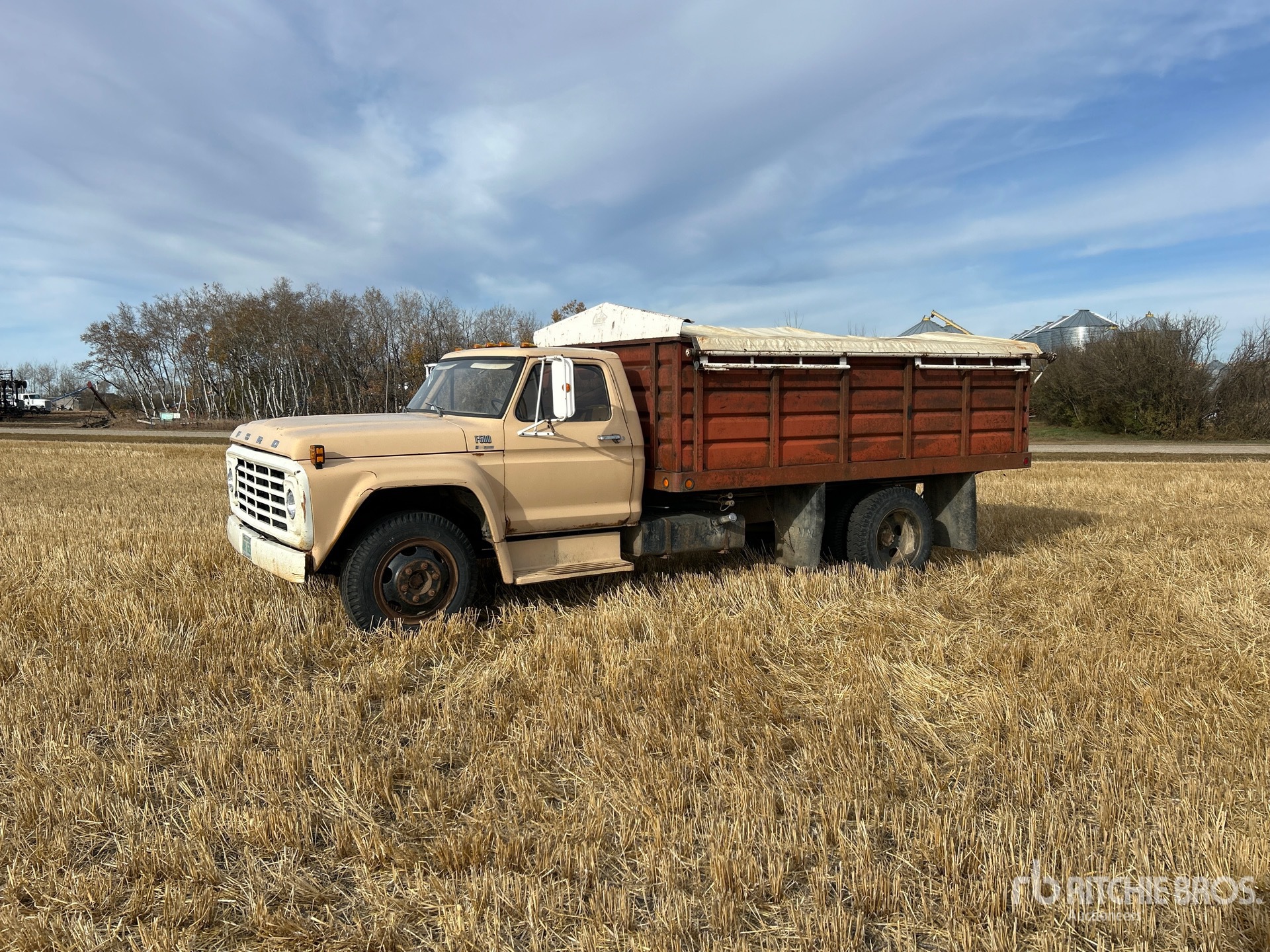 General Appearance with Spin