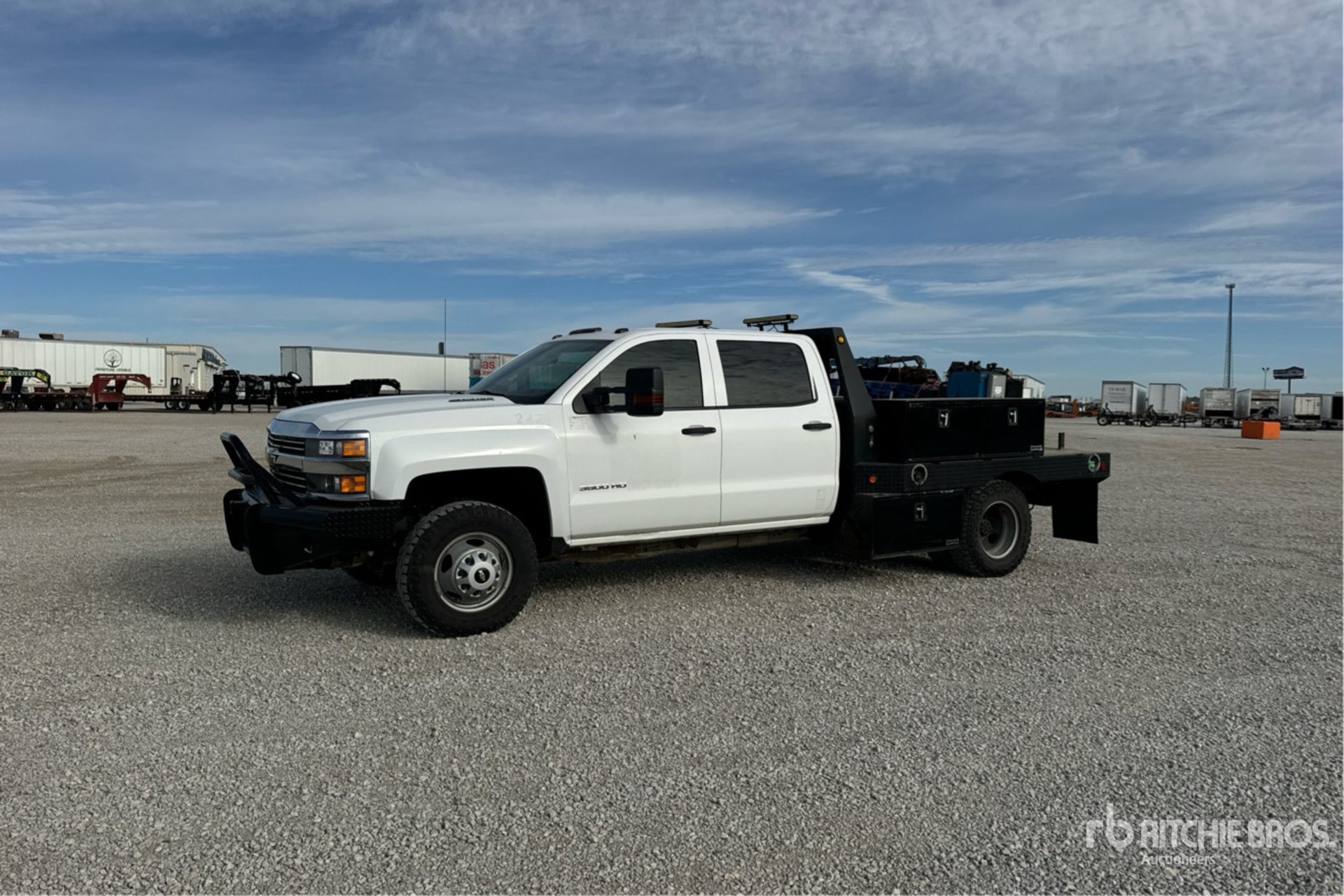 General Appearance with Spin