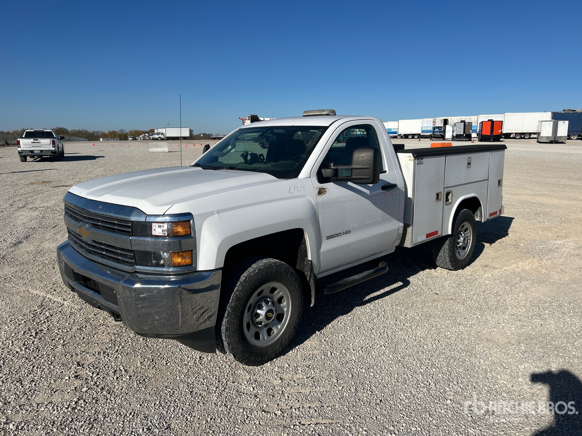 General Appearance with Spin