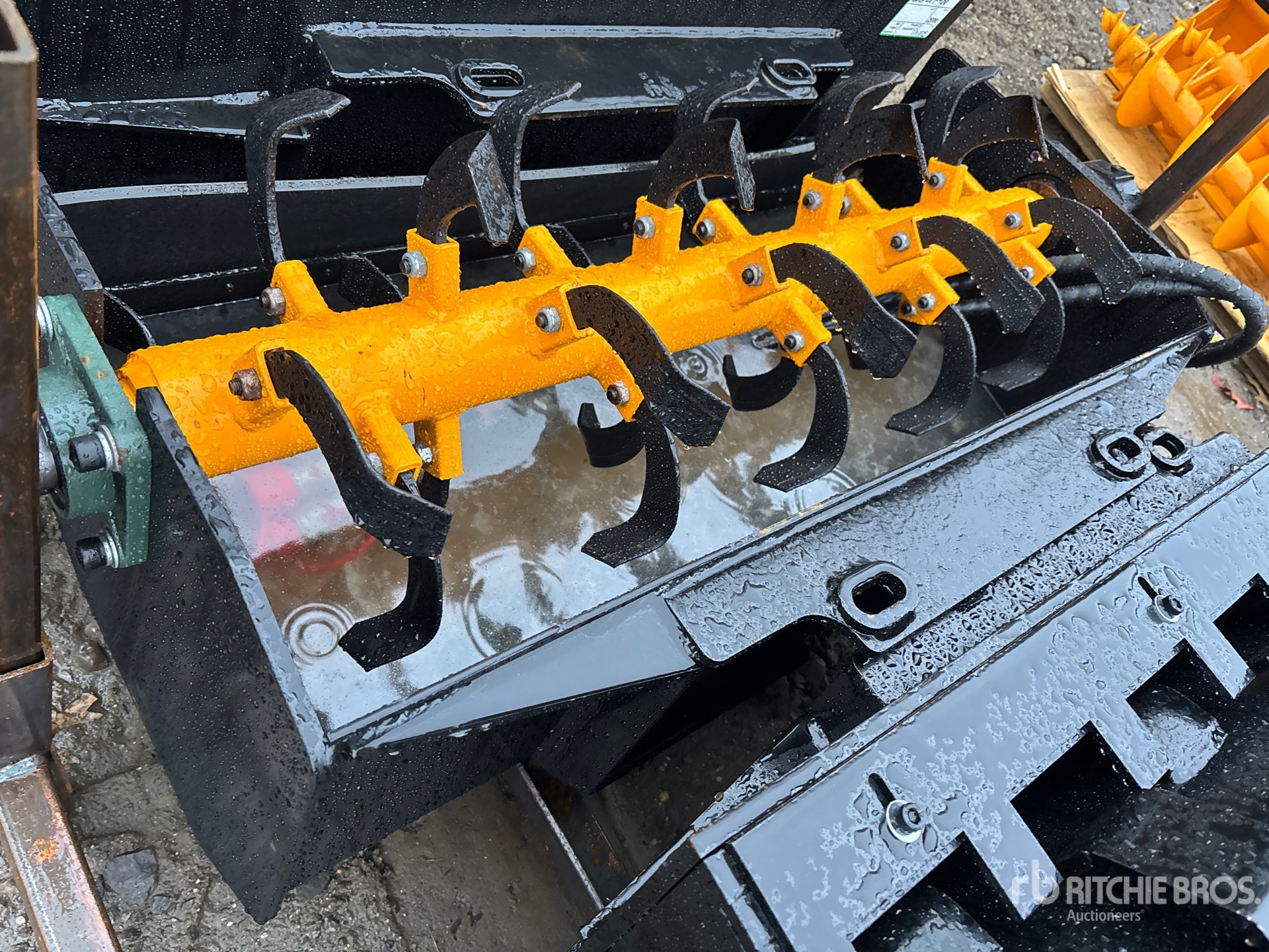 General Appearance with Image, coin avant droit