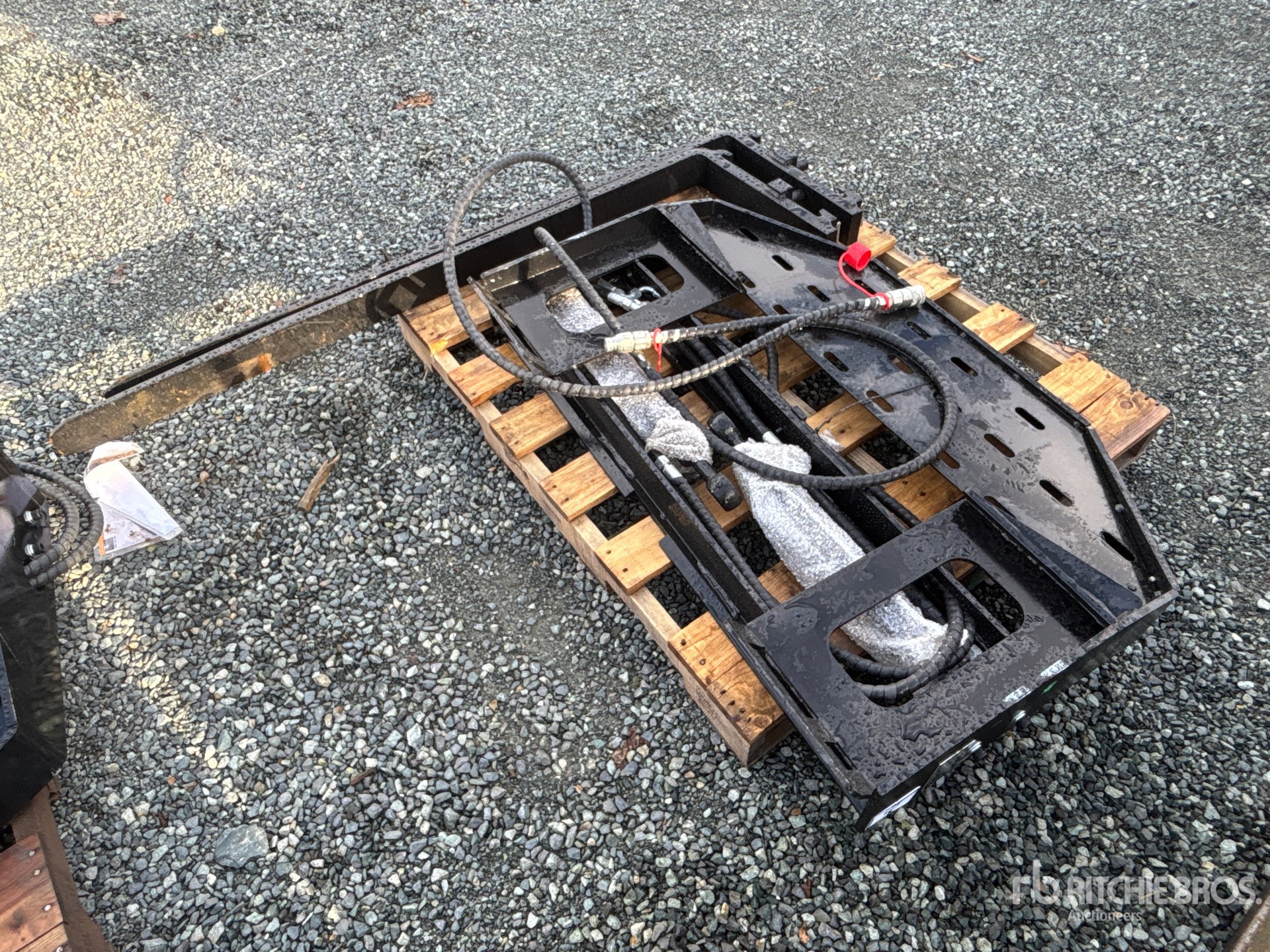 General Appearance with Zdjęcie, lewy górny róg