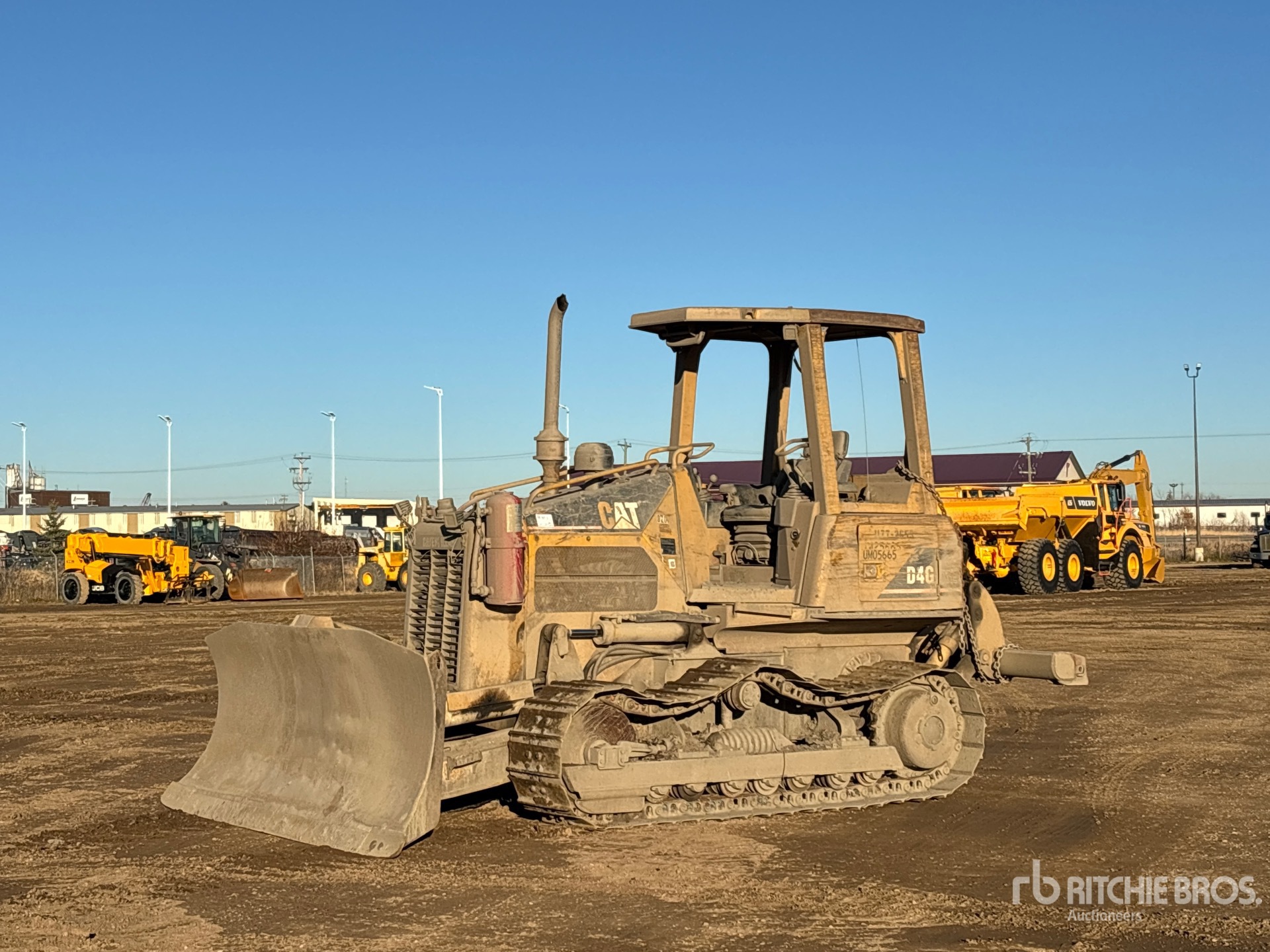 General Appearance with Spin