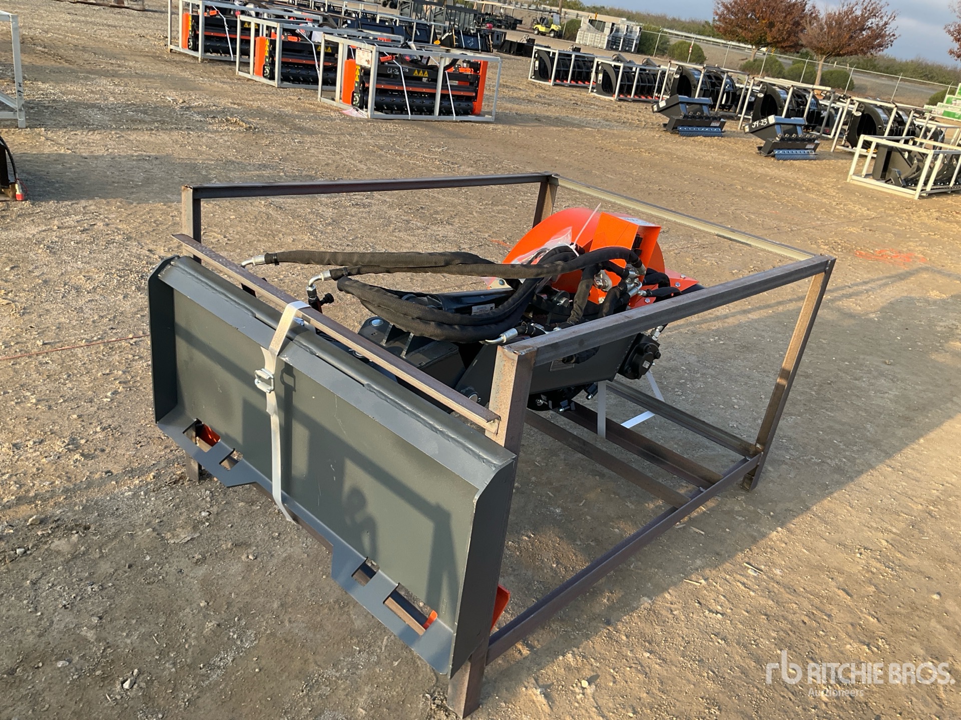 General Appearance with Zdjęcie, lewy górny róg