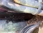 General Appearance with Second Serial Number/VIN Photo