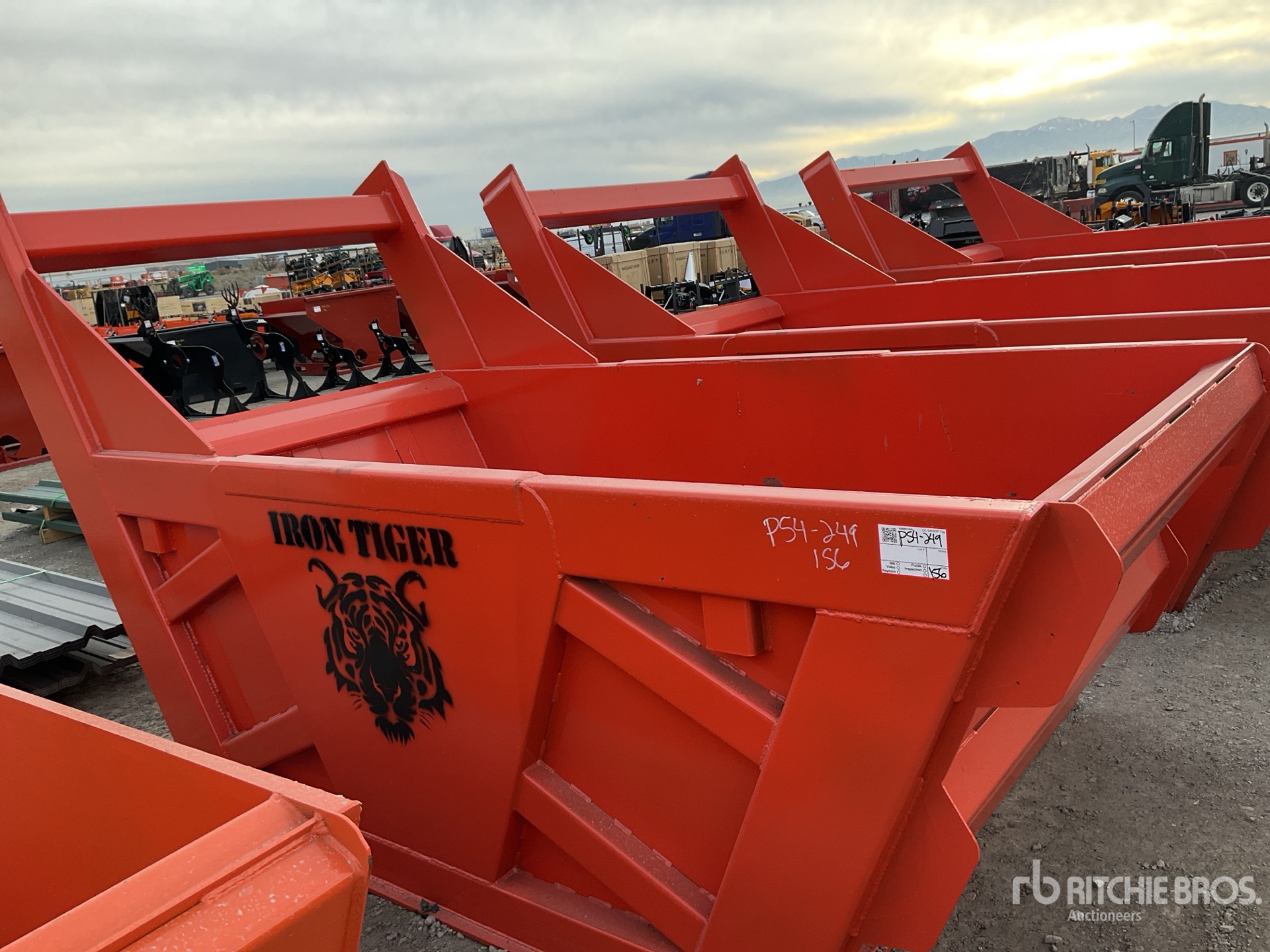 General Appearance with 