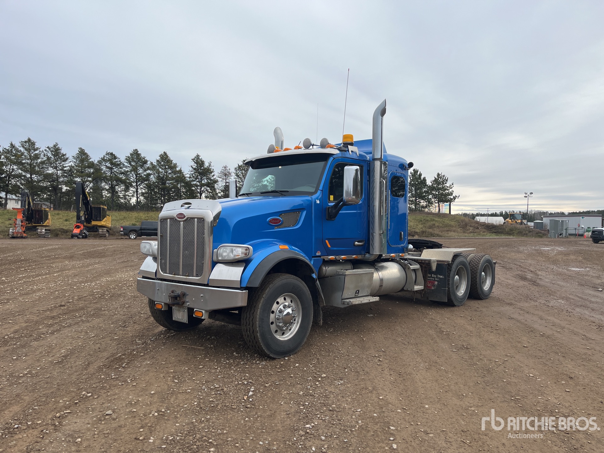 General Appearance with Spin