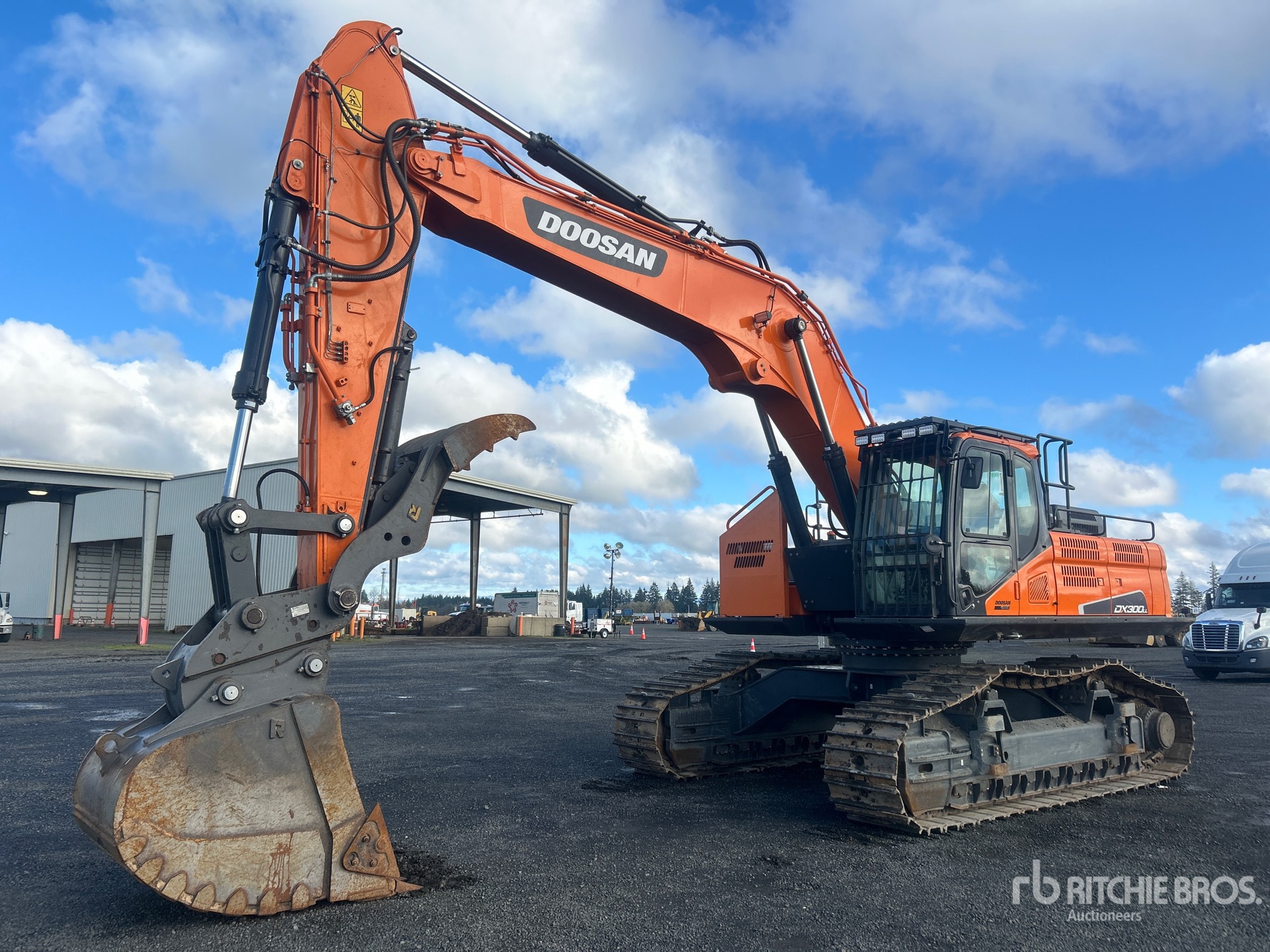 General Appearance with Spin