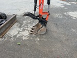 General Appearance with Paint