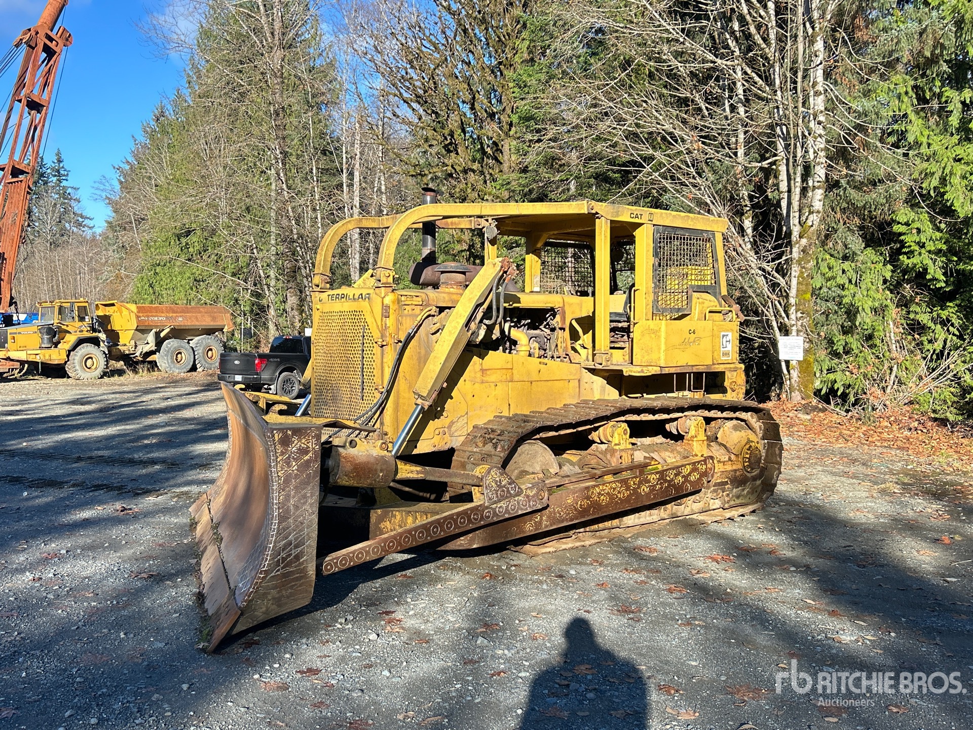 General Appearance with Spin