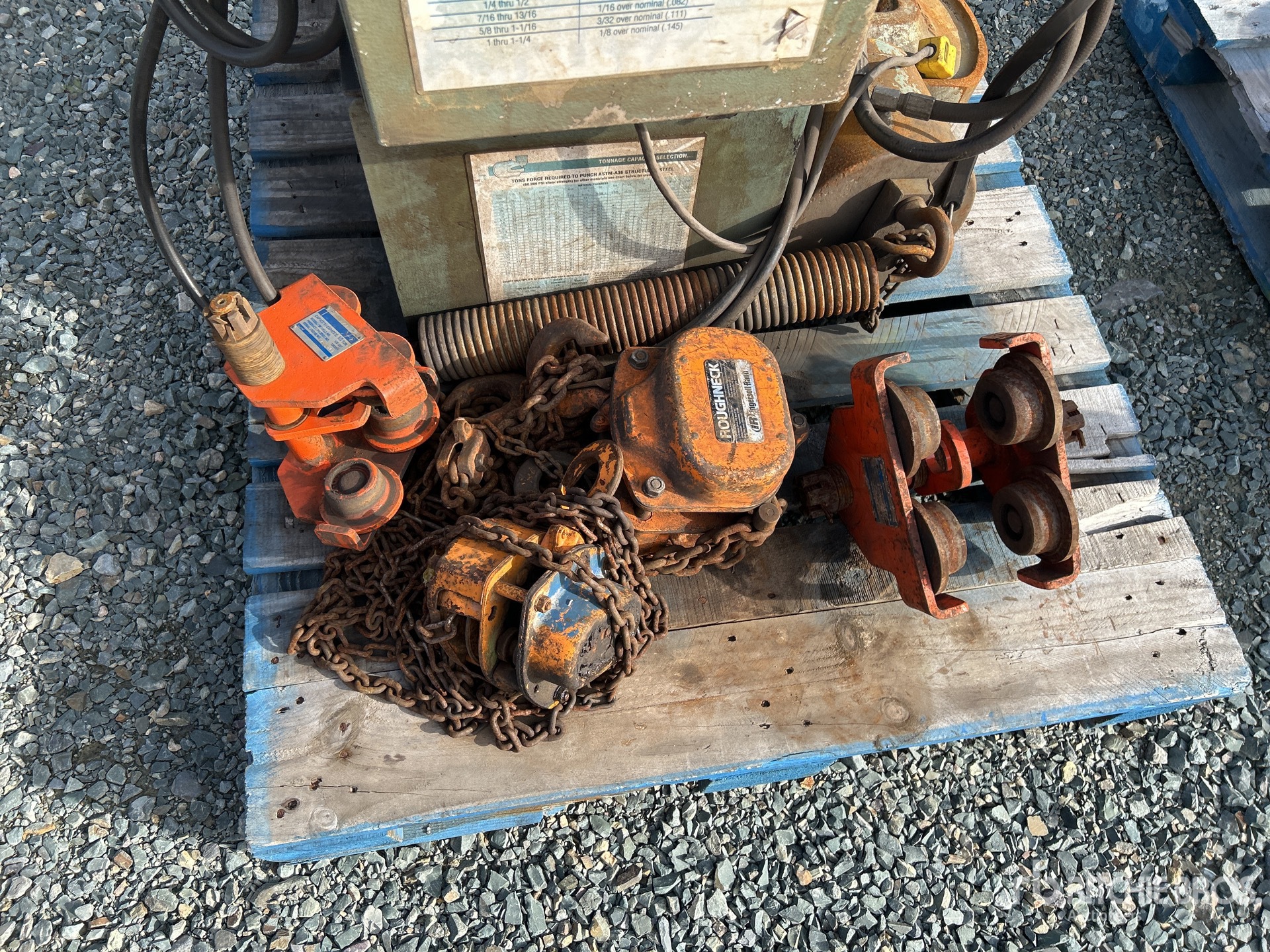 General Appearance with 