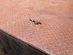 Attenuator with Flat Bed Body