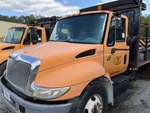 General Appearance with Paint