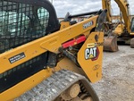 General Appearance with Paint