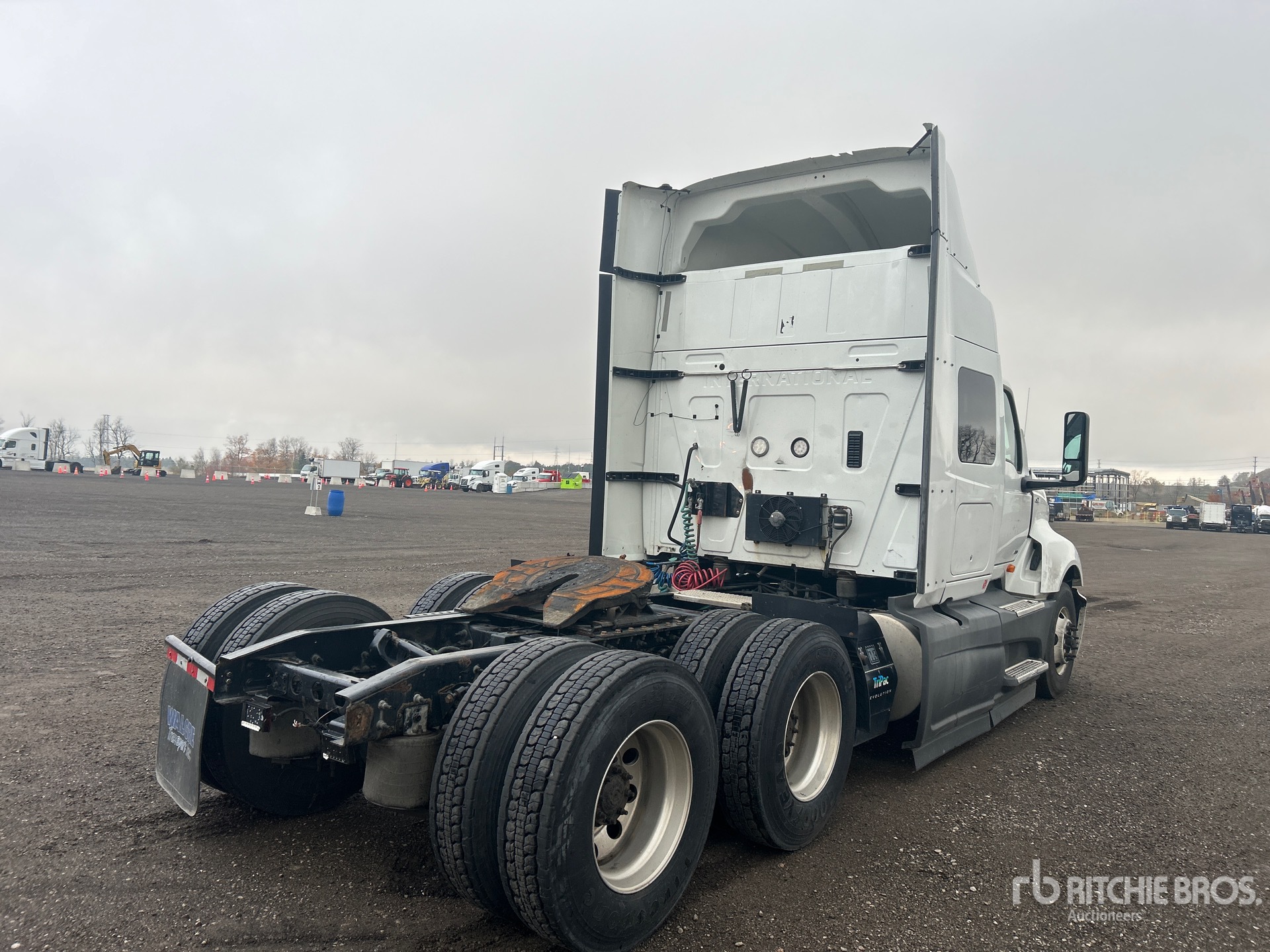 General Appearance with Bild, Ecke hinten links