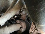 Hydraulics with Hoses (Hydraulics)