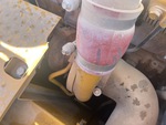 Engine with Exhaust System